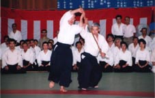 img291